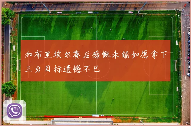 加布里埃尔赛后感慨未能如愿拿下三分目标遗憾不已