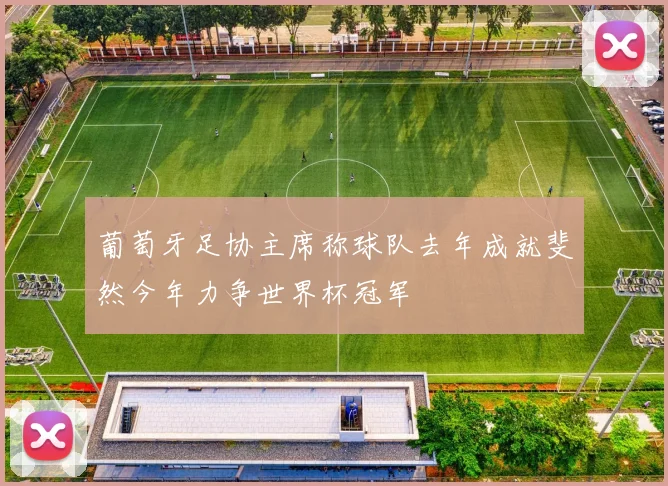 葡萄牙足协主席称球队去年成就斐然今年力争世界杯冠军
