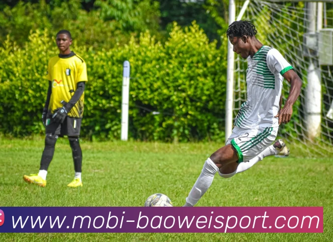 宝威体育平台生态图