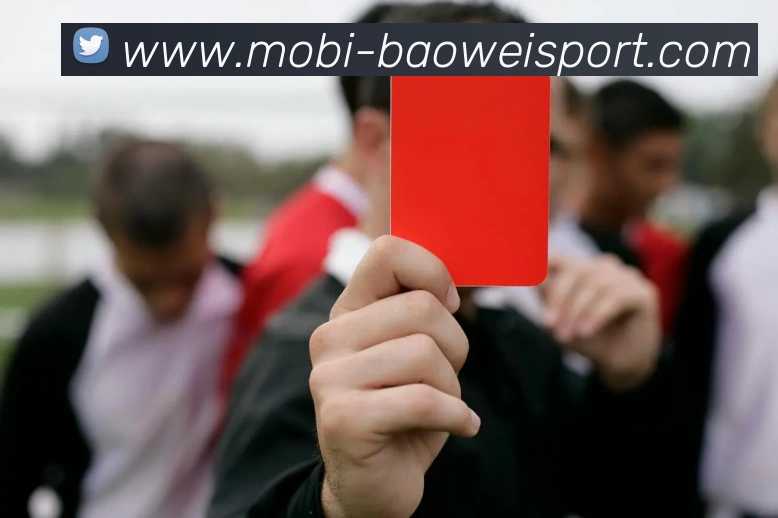 宝威体育APP 封面图