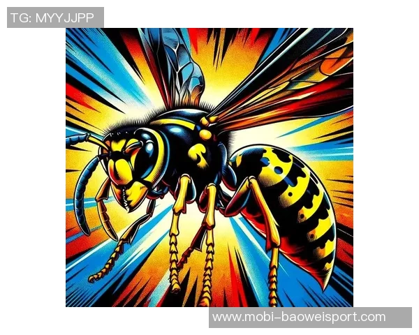 黄蜂积极构建独特体系Windhorst称其决策明智且具前瞻性